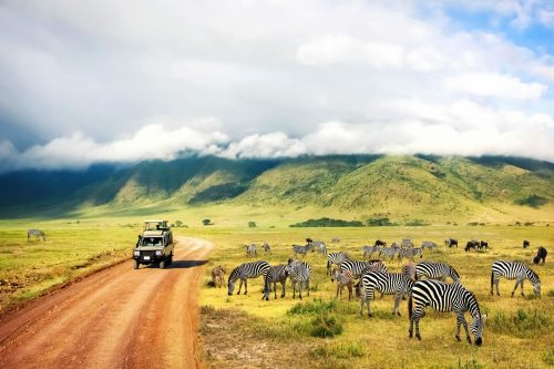 Safari Nationalpark Ngorongoro Tansania Shutterstock 1238975587 1